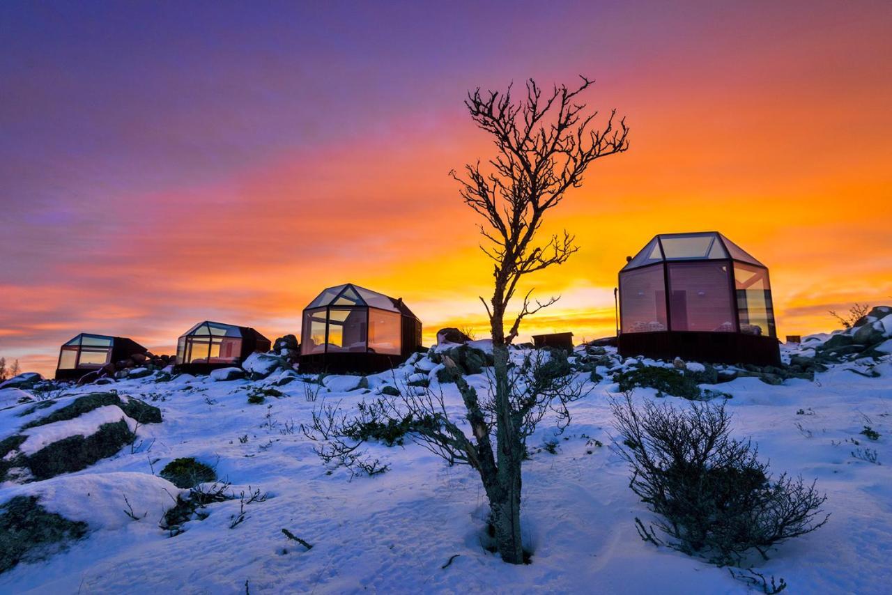 Kalle'S Inn Glass Houses Soderudden Eksteriør billede